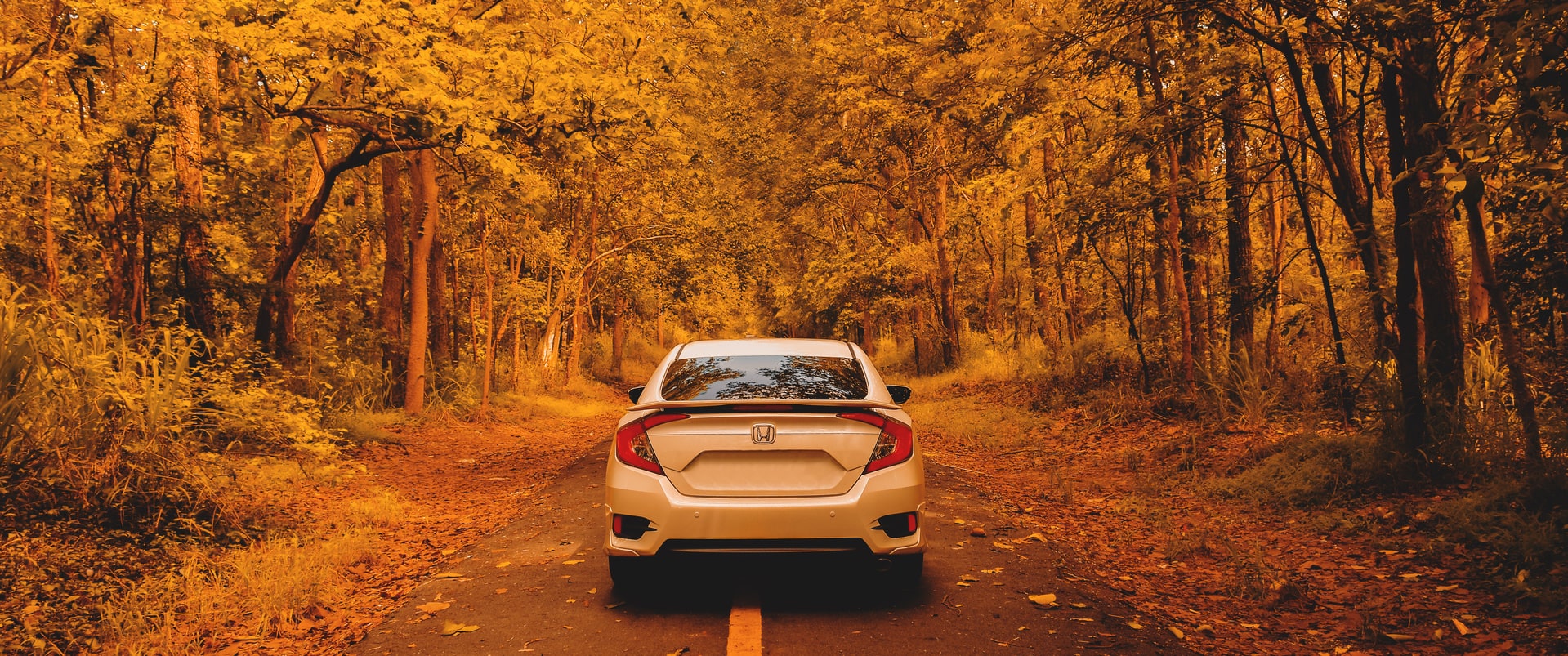 L'automne à l'horizon : comment préparer son véhicule et sa conduite ? - Blog  Reezocar