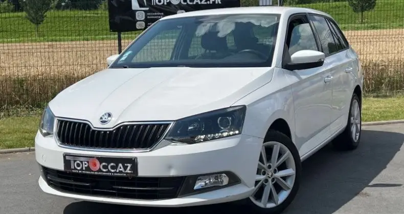 Photo 1 : Skoda Fabia 2016 Diesel