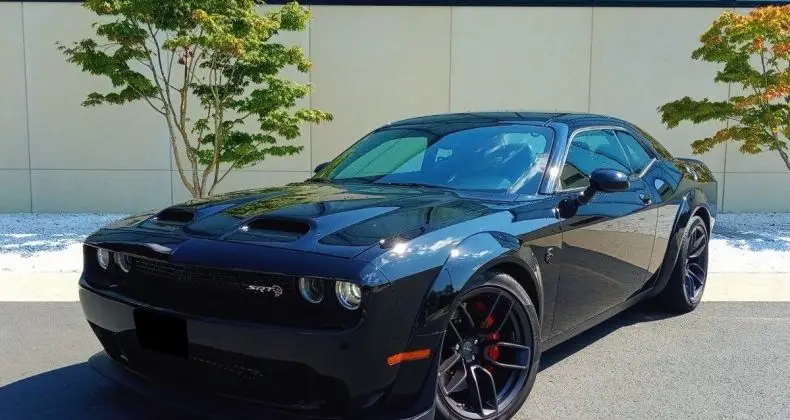 Photo 1 : Dodge Challenger 2019 Petrol