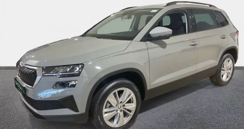 Photo 1 : Skoda Karoq 2024 Petrol