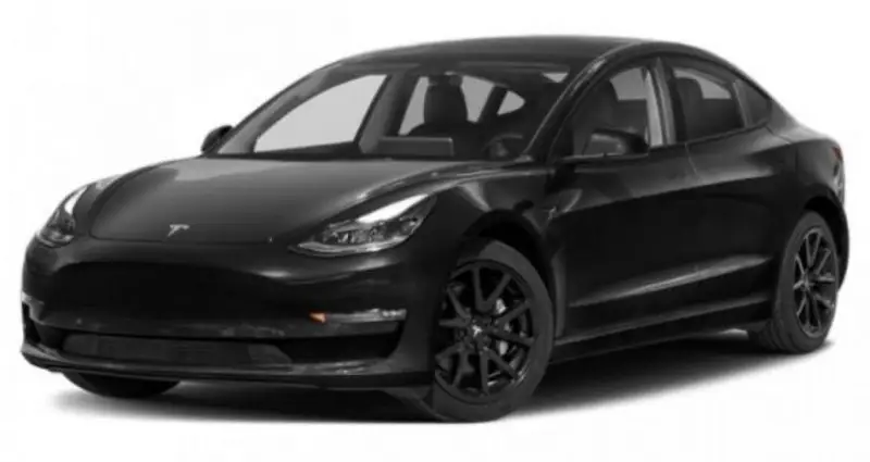 Photo 1 : Tesla Model 3 2020 Electric