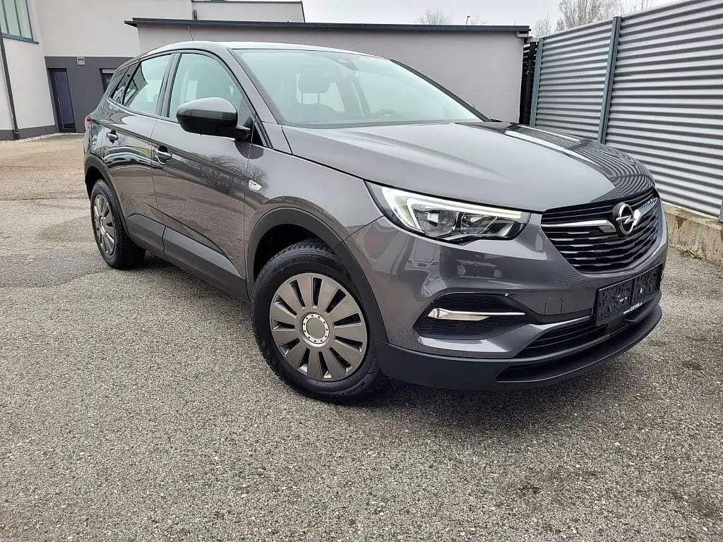 Photo 1 : Opel Grandland 2019 Petrol