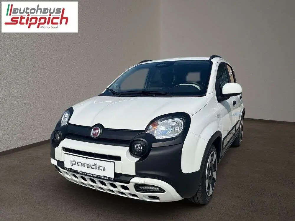 Photo 1 : Fiat Panda 2024 Petrol