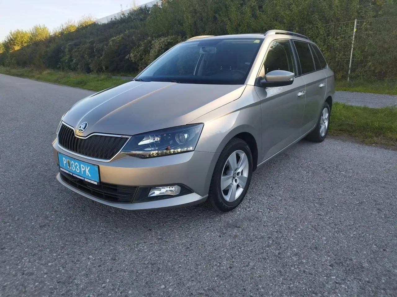 Photo 1 : Skoda Fabia 2016 Petrol