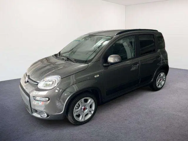 Photo 1 : Fiat Panda 2023 Petrol