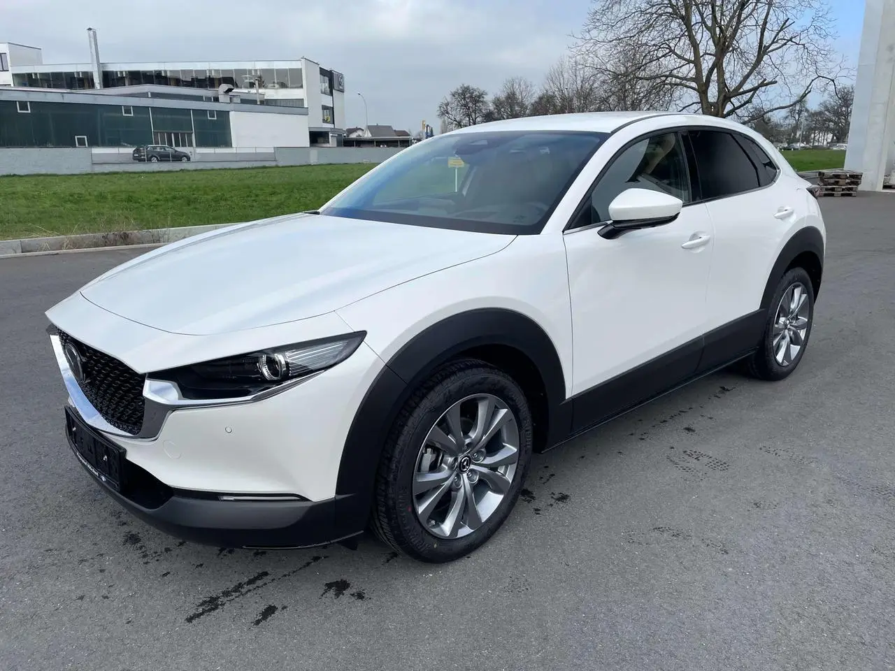 Photo 1 : Mazda Cx-30 2024 Petrol