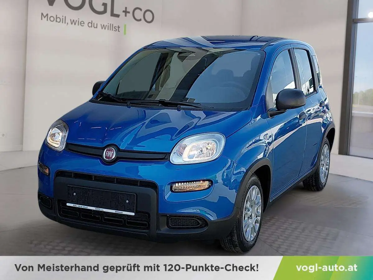 Photo 1 : Fiat Panda 2024 Petrol