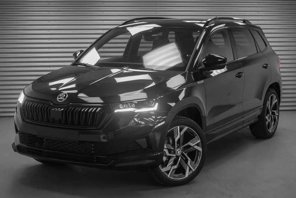 Photo 1 : Skoda Karoq 2024 Petrol