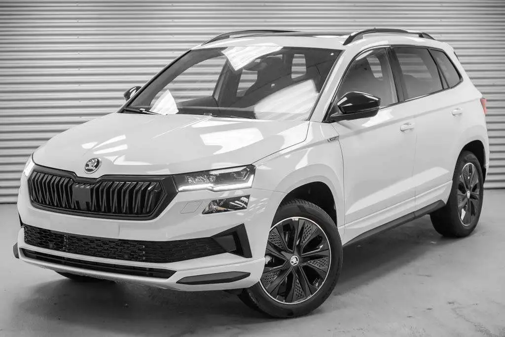 Photo 1 : Skoda Karoq 2024 Petrol