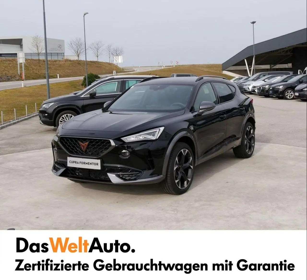 Photo 1 : Cupra Formentor 2023 Petrol