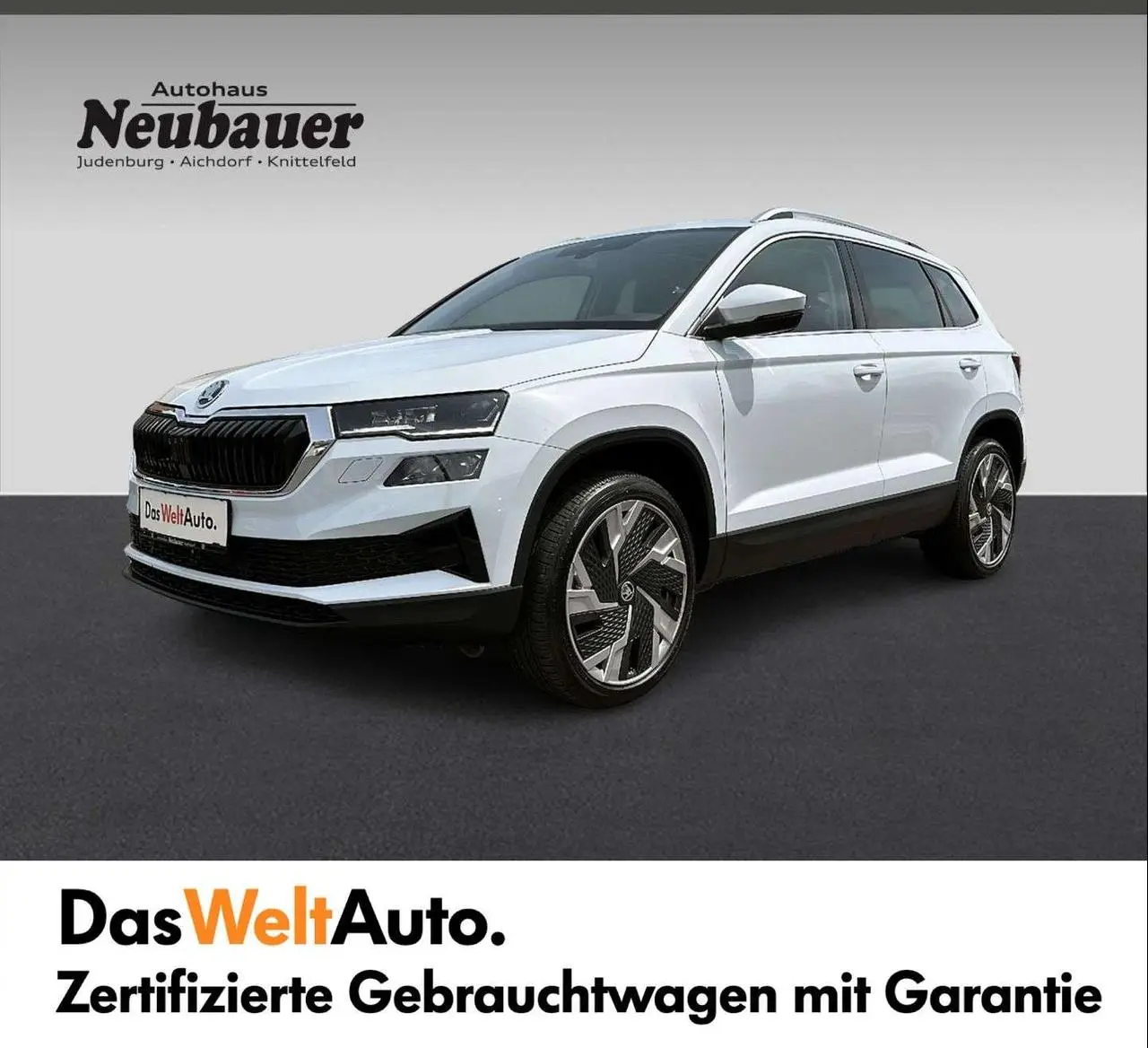 Photo 1 : Skoda Karoq 2023 Diesel