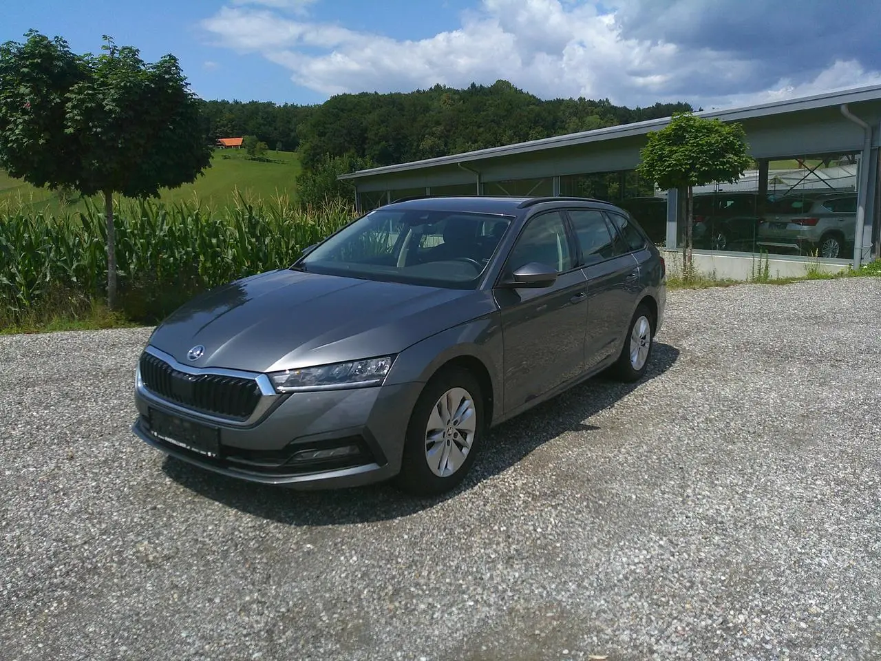 Photo 1 : Skoda Octavia 2022 Petrol