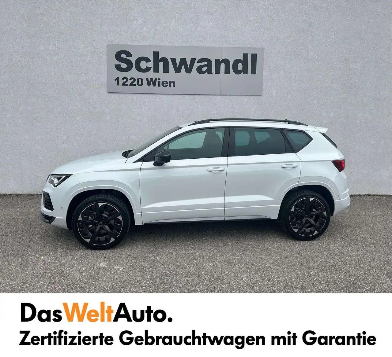 Photo 1 : Cupra Ateca 2023 Petrol