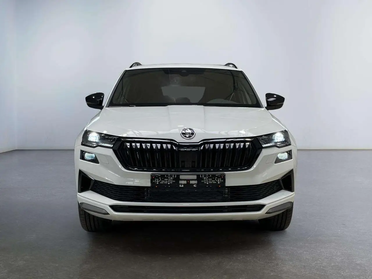 Photo 1 : Skoda Karoq 2024 Petrol