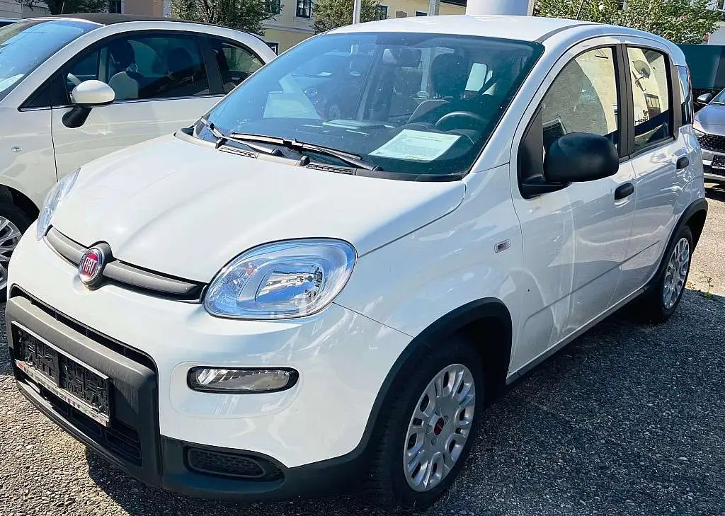 Photo 1 : Fiat Panda 2024 Essence