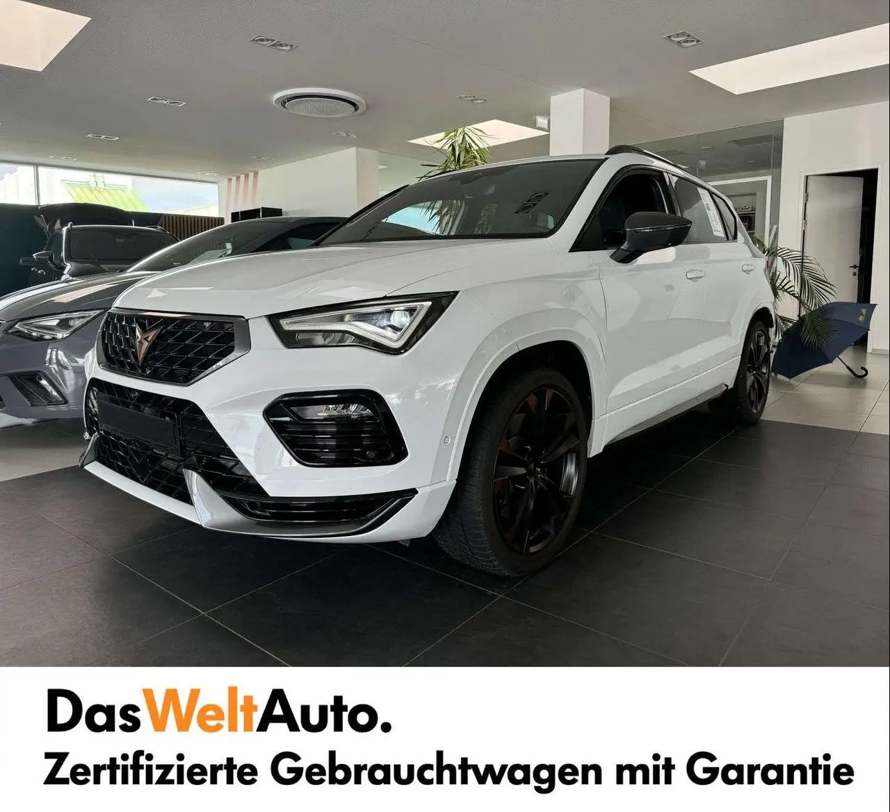 Photo 1 : Cupra Ateca 2023 Petrol