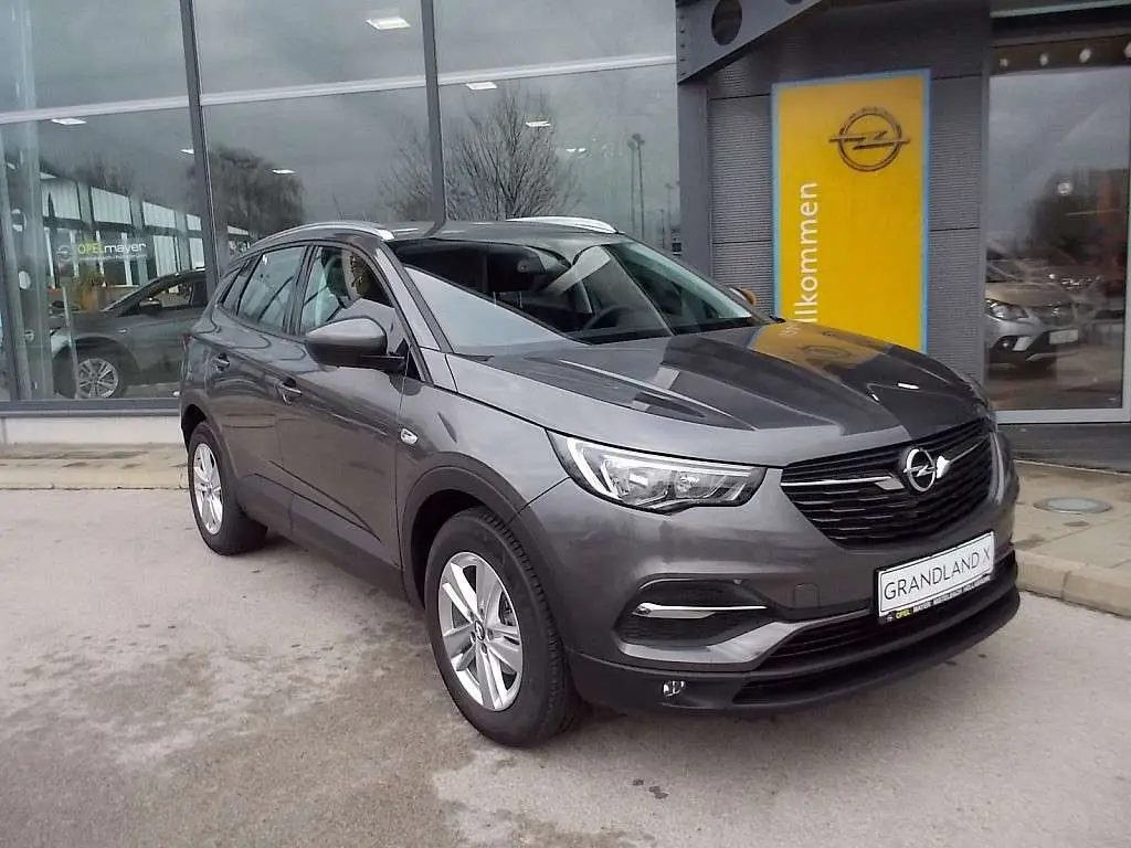 Photo 1 : Opel Grandland 2019 Petrol