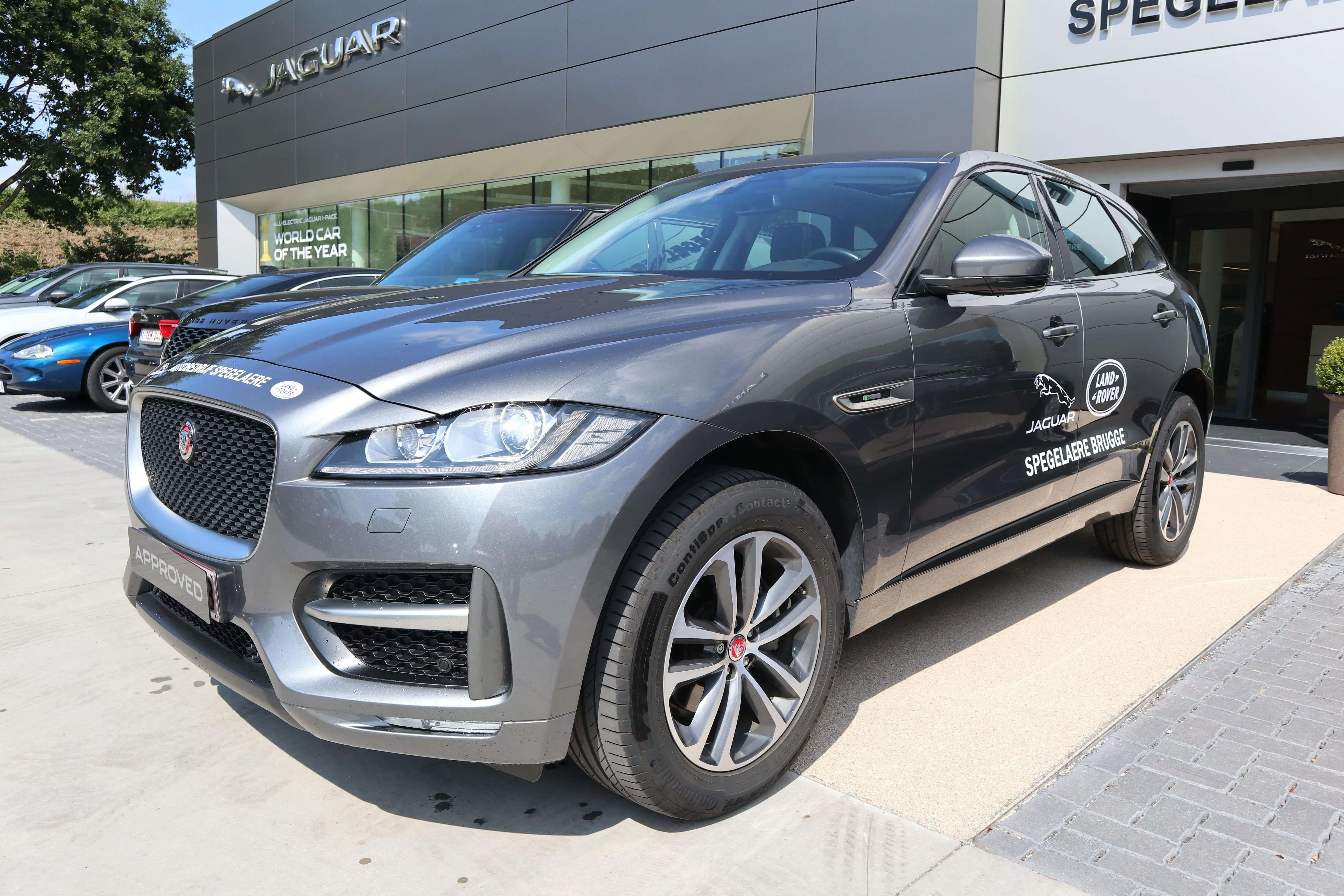 Photo 1 : Jaguar F-pace 2019 Diesel