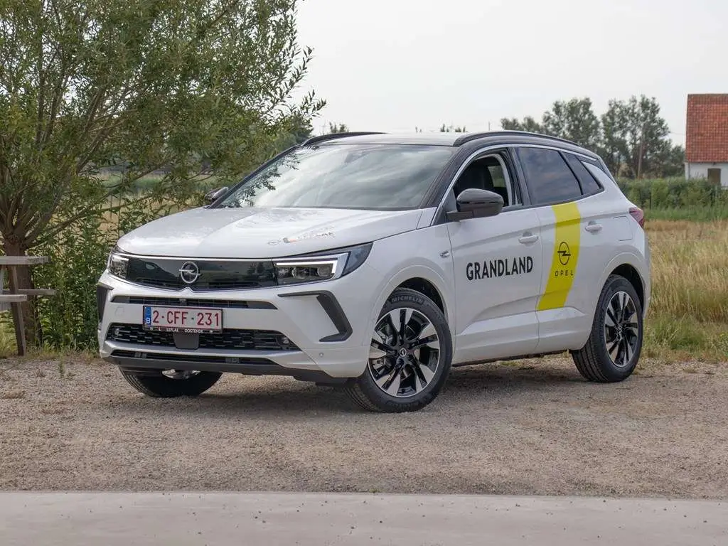 Photo 1 : Opel Grandland 2022 Hybride