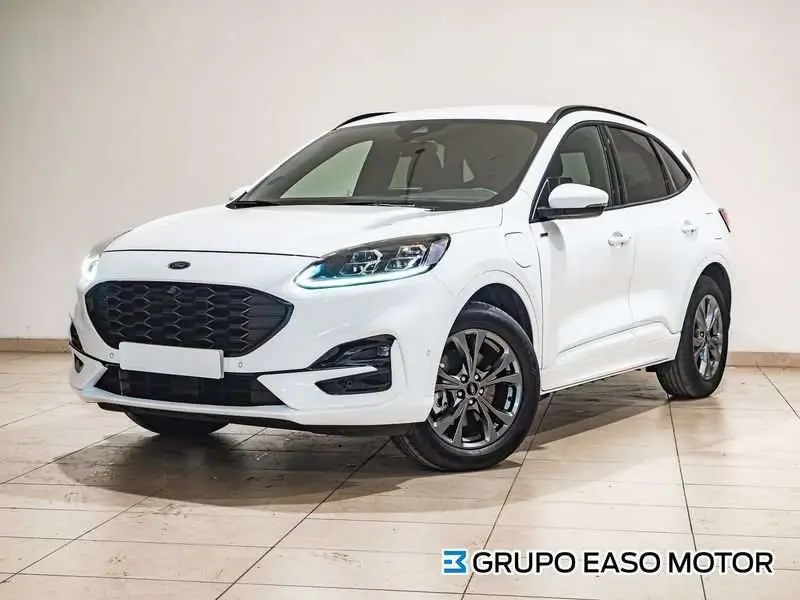 Photo 1 : Ford Kuga 2021 Autres