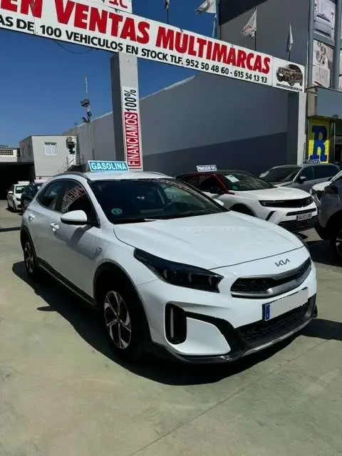 Photo 1 : Kia Xceed 2022 Essence