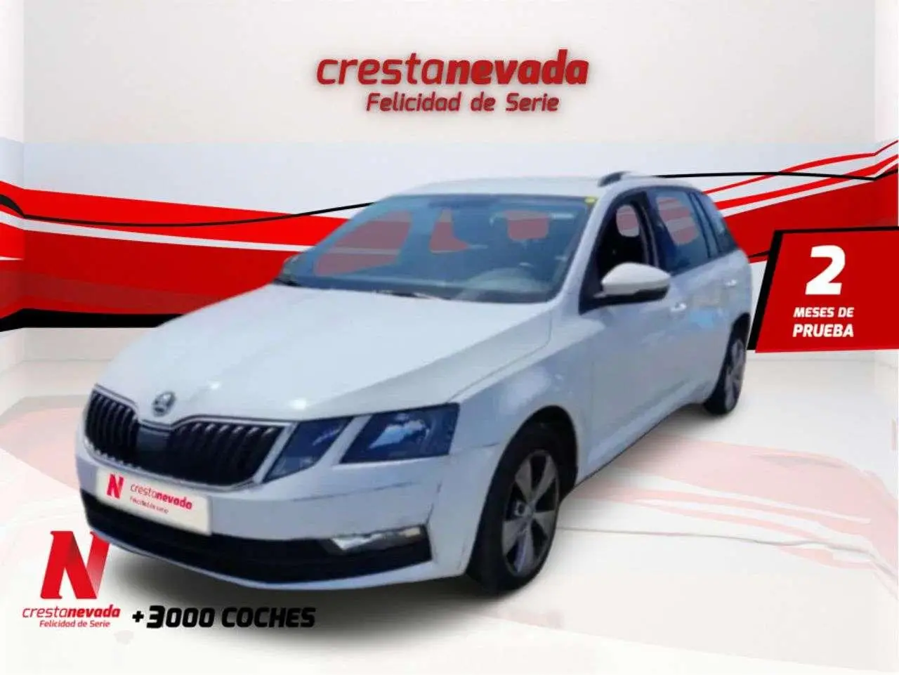 Photo 1 : Skoda Octavia 2019 Essence