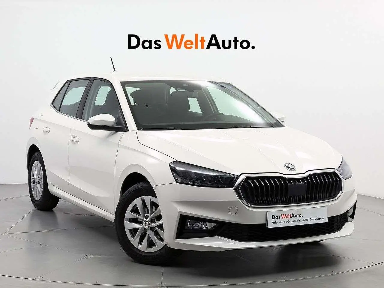 Photo 1 : Skoda Fabia 2023 Petrol