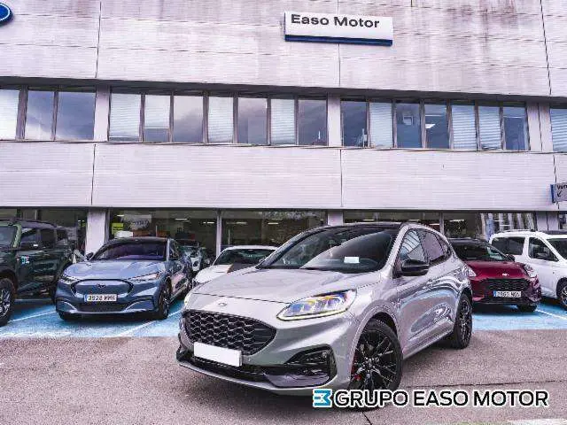 Photo 1 : Ford Kuga 2022 Petrol