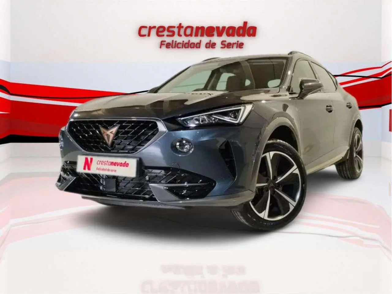 Photo 1 : Cupra Formentor 2024 Petrol