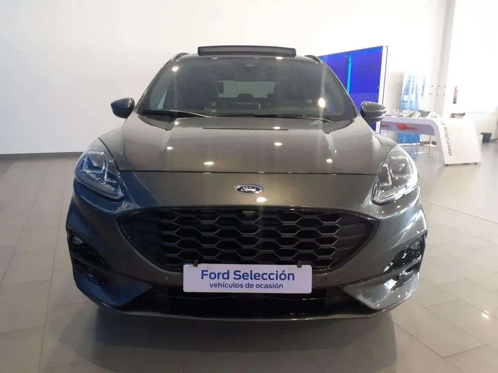 Photo 1 : Ford Kuga 2022 Others