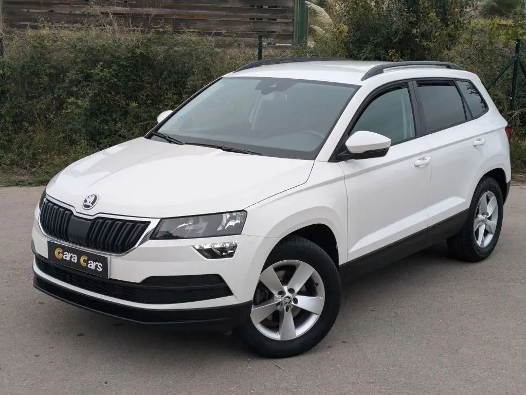 Photo 1 : Skoda Karoq 2019 Diesel