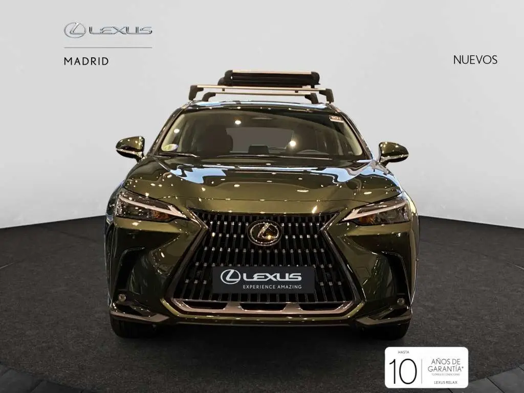 Photo 1 : Lexus Nx 2024 Hybrid