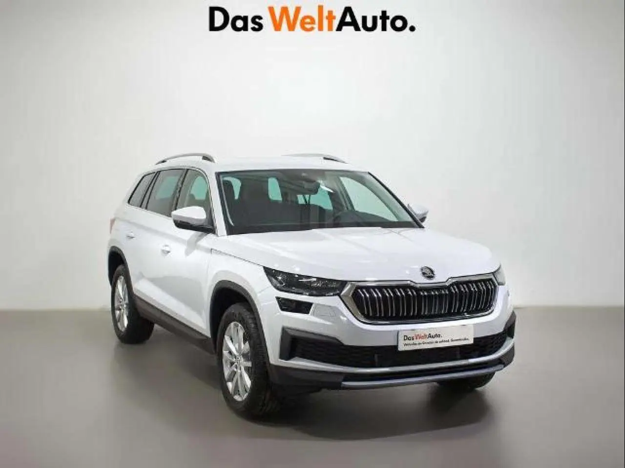 Photo 1 : Skoda Kodiaq 2024 Diesel