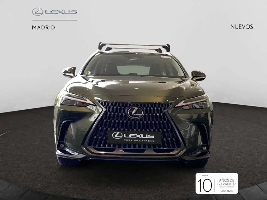 Photo 1 : Lexus Nx 2024 Hybrid