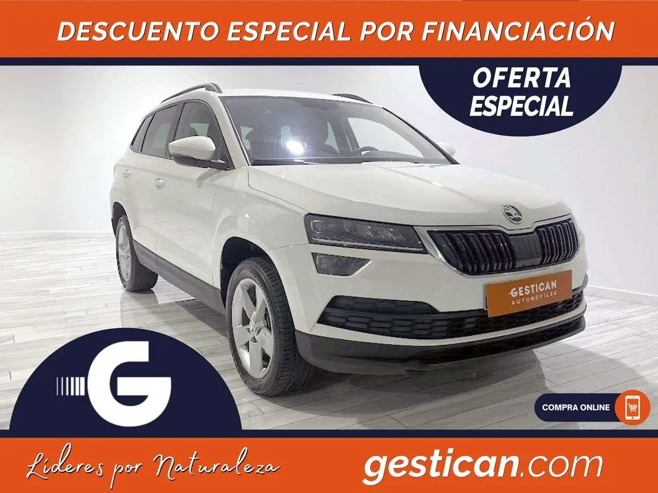 Photo 1 : Skoda Karoq 2019 Essence