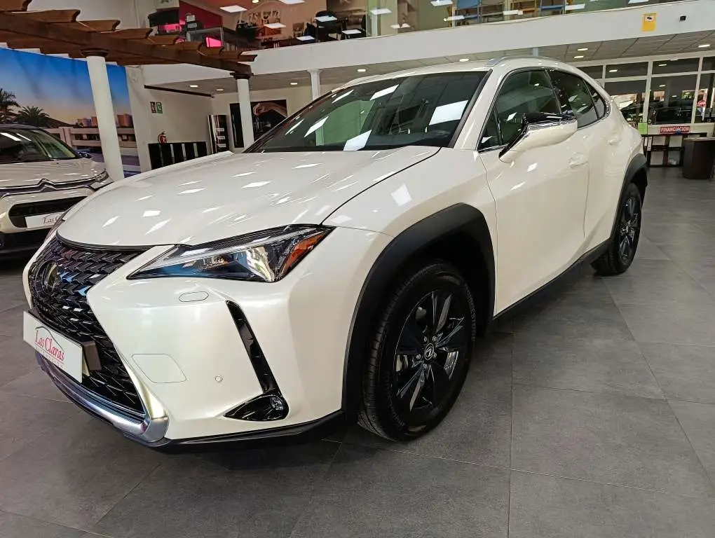 Photo 1 : Lexus Ux 2023 Autres