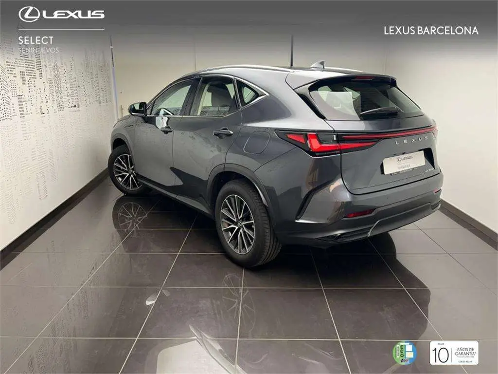 Photo 1 : Lexus Nx 2024 Autres