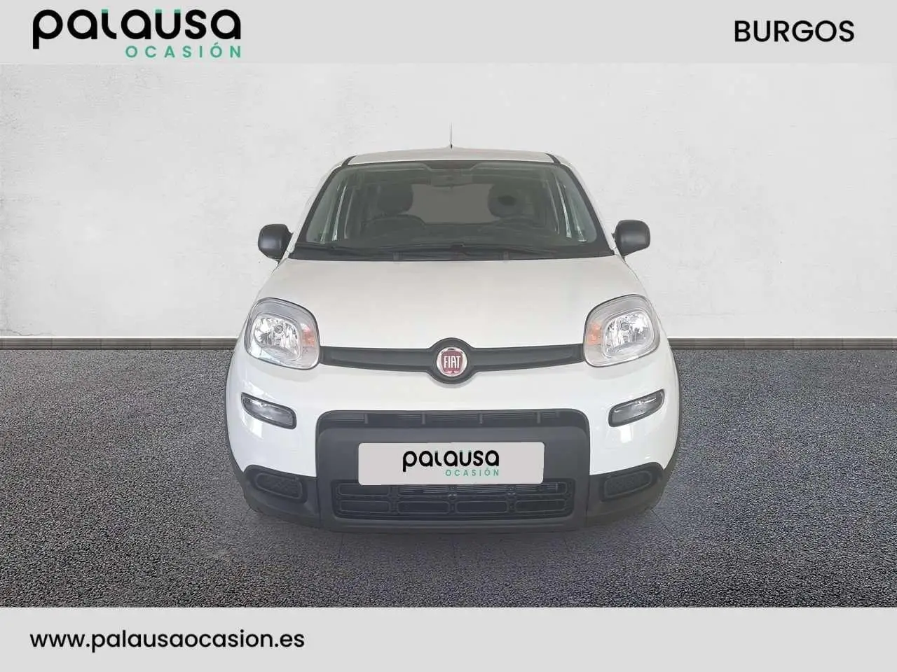 Photo 1 : Fiat Panda 2024 Petrol