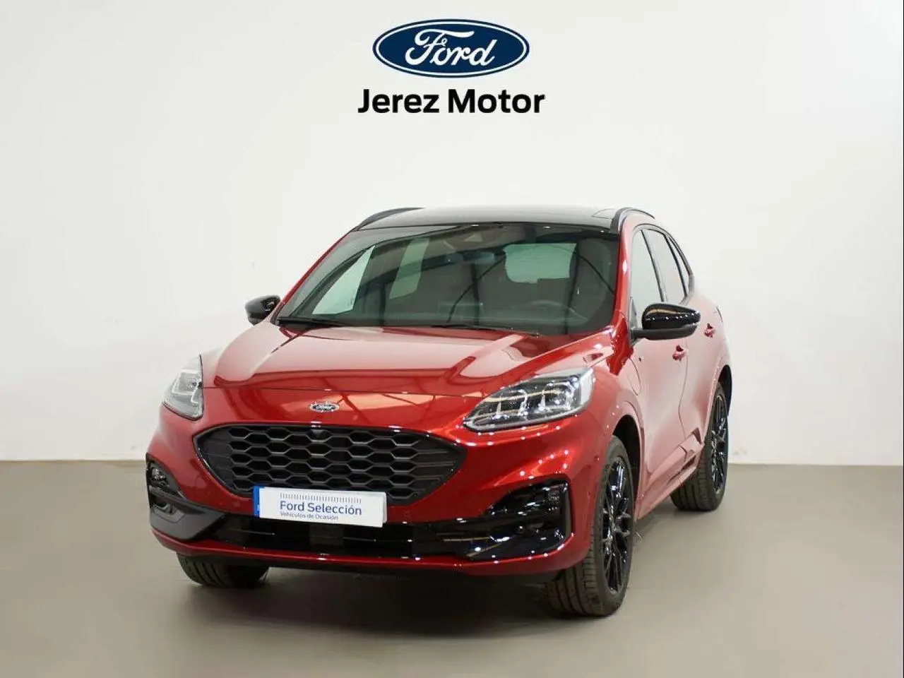 Photo 1 : Ford Kuga 2023 Autres