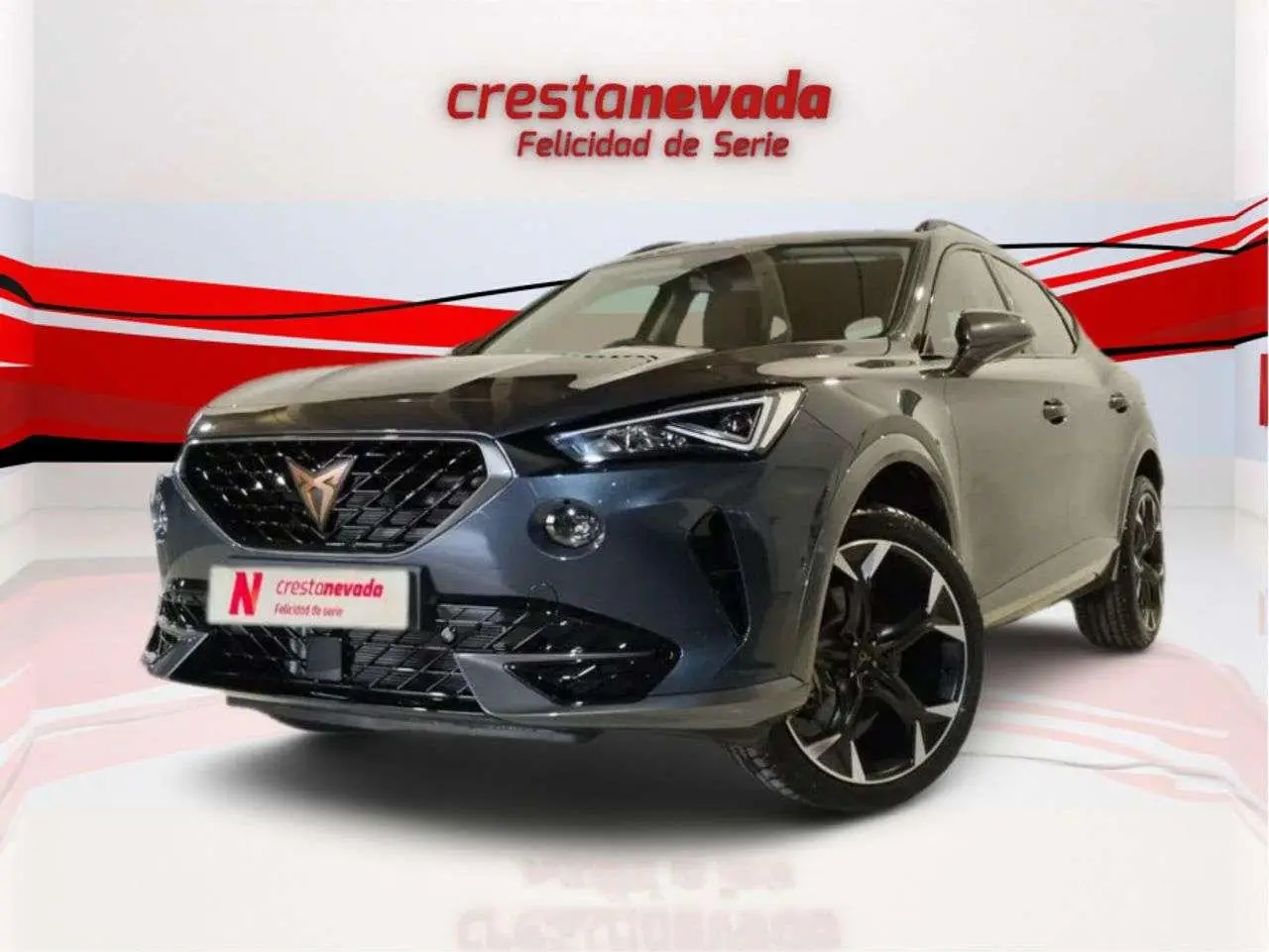 Photo 1 : Cupra Formentor 2024 Petrol