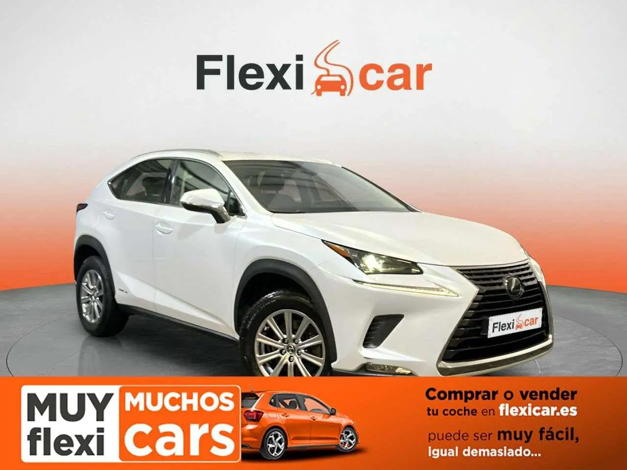 Photo 1 : Lexus Nx 2019 Hybride