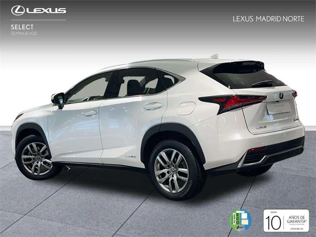 Photo 1 : Lexus Nx 2020 Essence