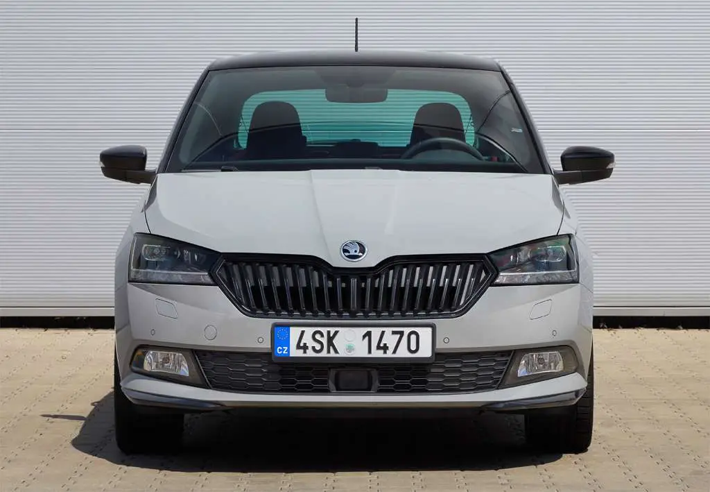 Photo 1 : Skoda Fabia 2019 Petrol