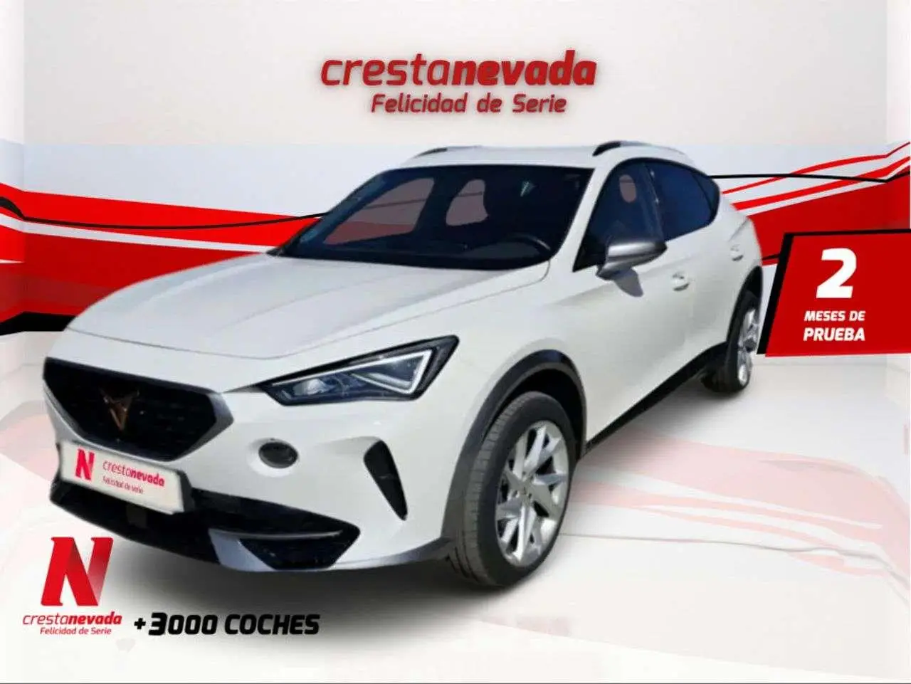 Photo 1 : Cupra Formentor 2021 Essence