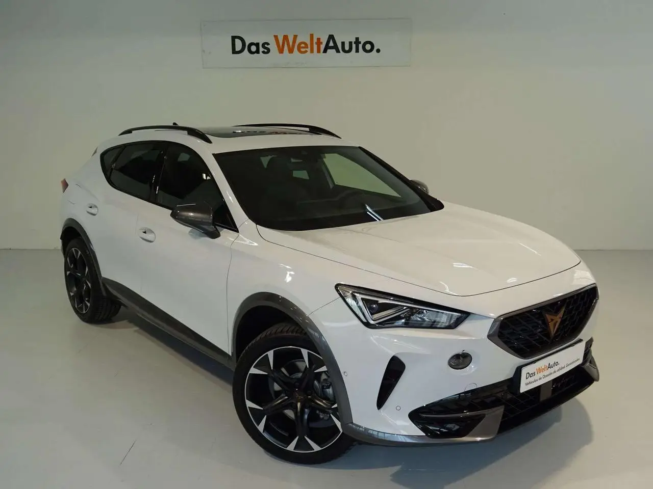 Photo 1 : Cupra Formentor 2024 Petrol