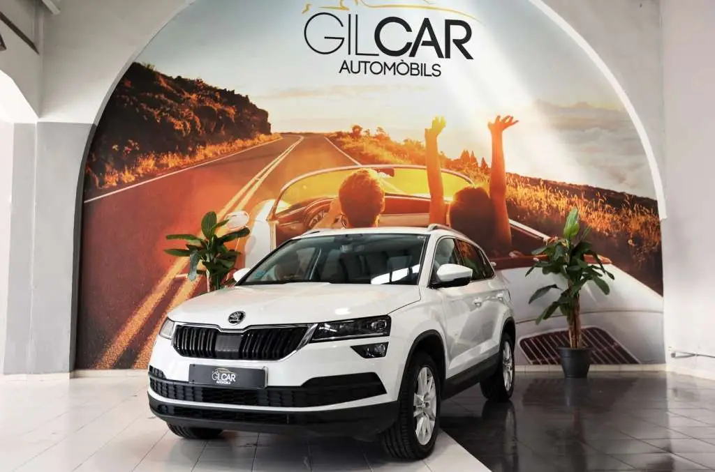 Photo 1 : Skoda Karoq 2019 Petrol