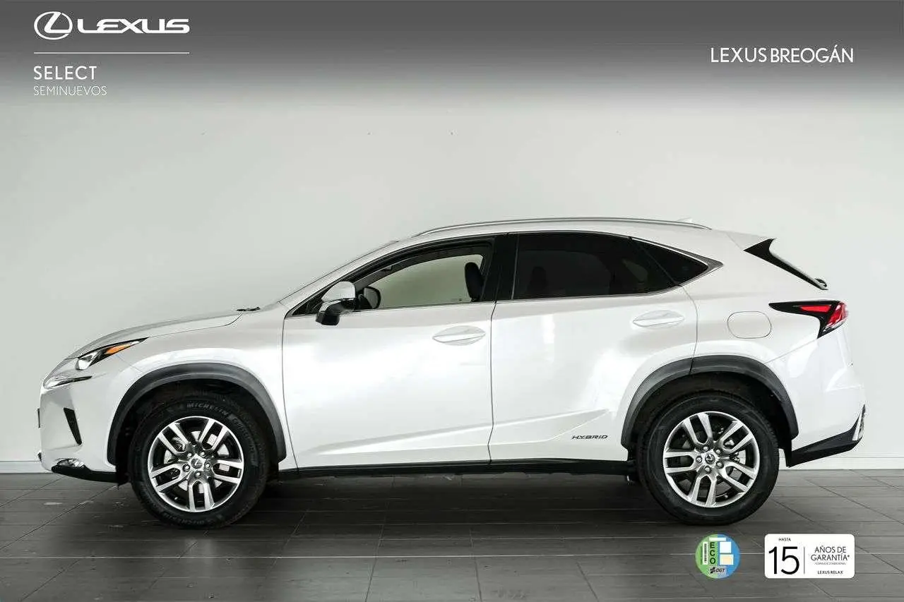 Photo 1 : Lexus Nx 2020 Hybride