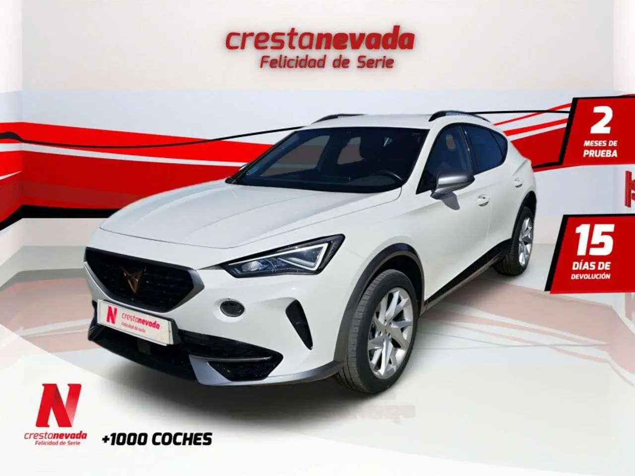 Photo 1 : Cupra Formentor 2021 Essence