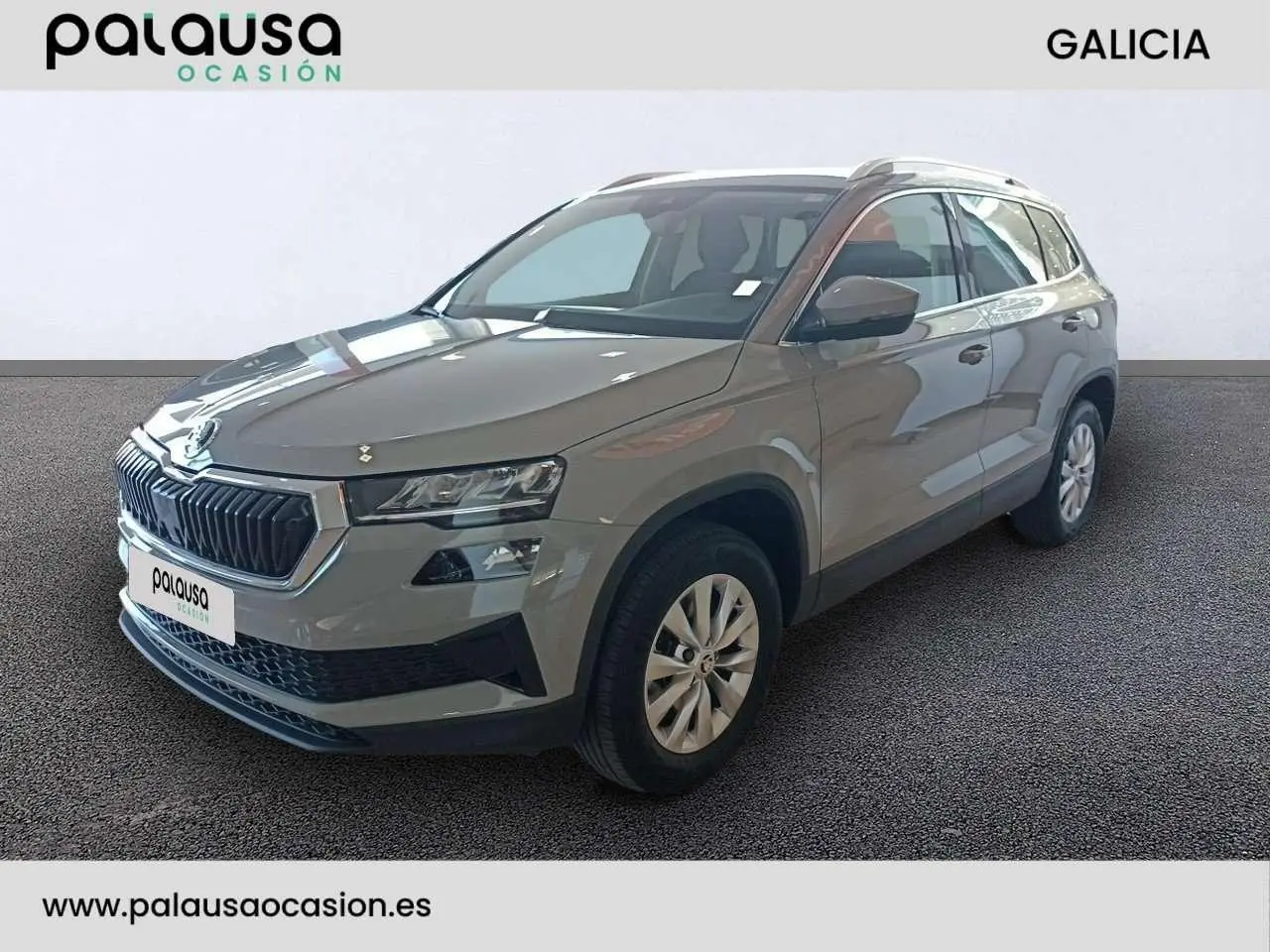 Photo 1 : Skoda Karoq 2023 Petrol