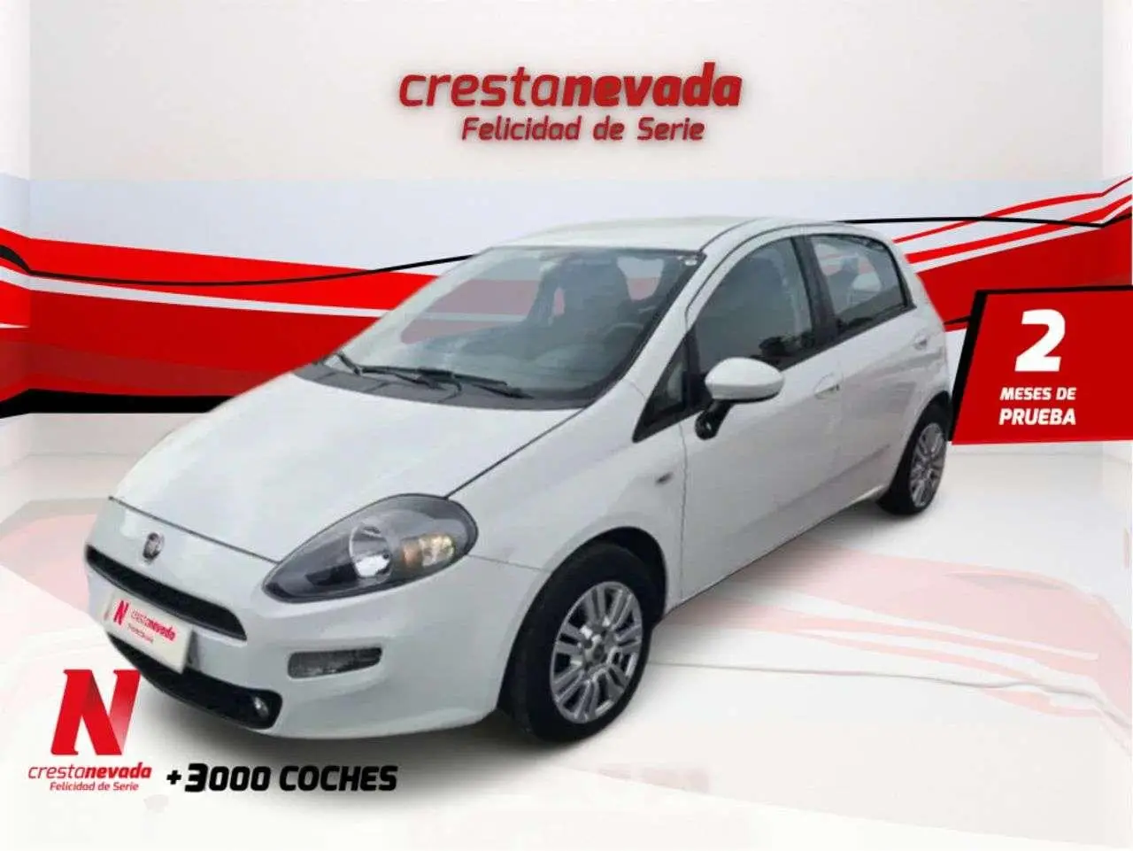 Photo 1 : Fiat Punto 2015 Diesel